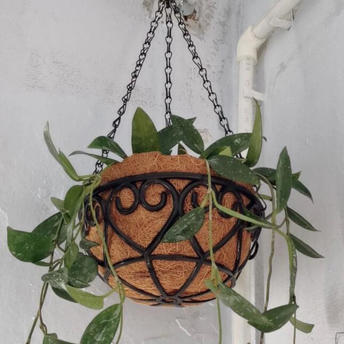 Pot de fleurs suspendu rond en fer avec chaîne - Style européen pour plantes grasses et vertes