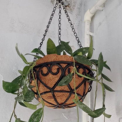 Pot de fleurs suspendu rond en fer avec chaîne - Style européen pour plantes grasses et vertes